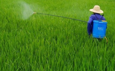 農(nóng)用無人機(jī)出現(xiàn)之前，植保是什么樣的