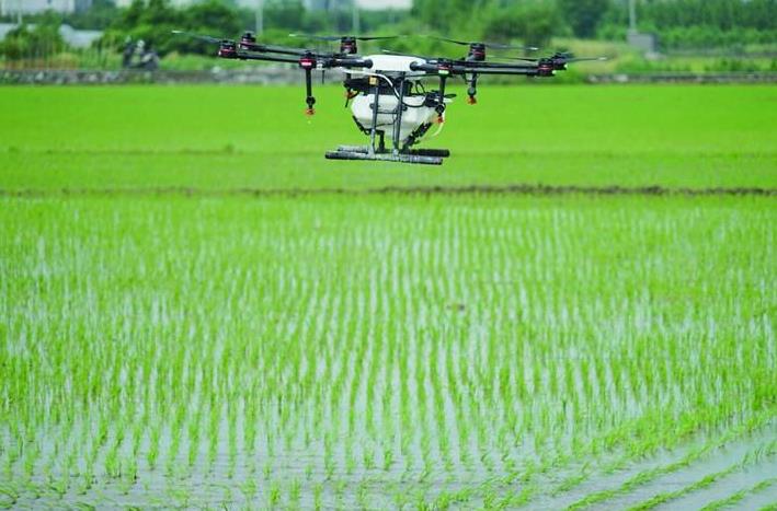 菜地可以用農用無人機打藥了插圖2 施肥打藥效率比人工提高近70倍