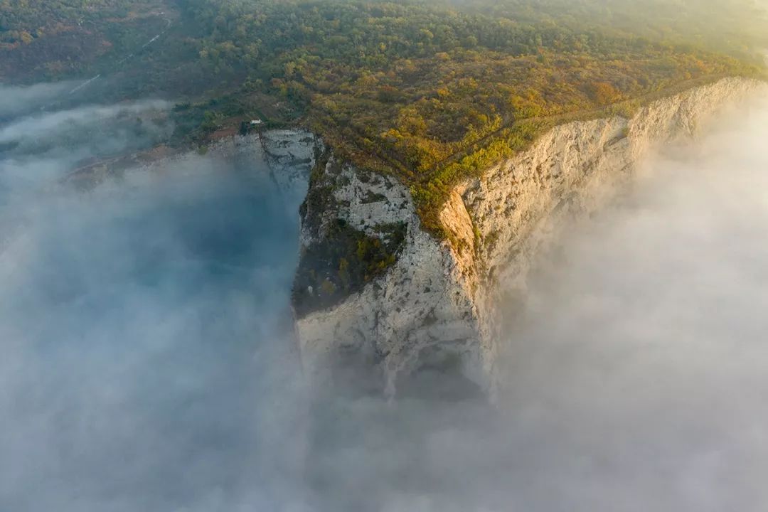 航拍霧景的拍攝技巧插圖5 拍攝林中霧景