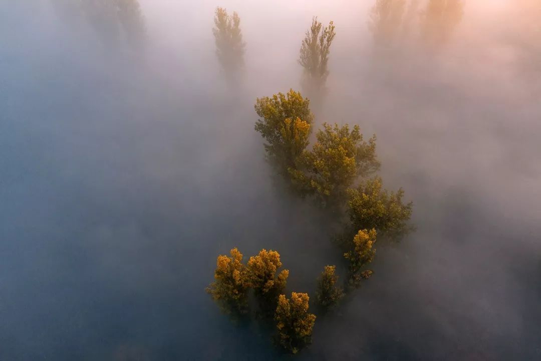 航拍霧景的拍攝技巧插圖2 林中霧景的拍攝技巧