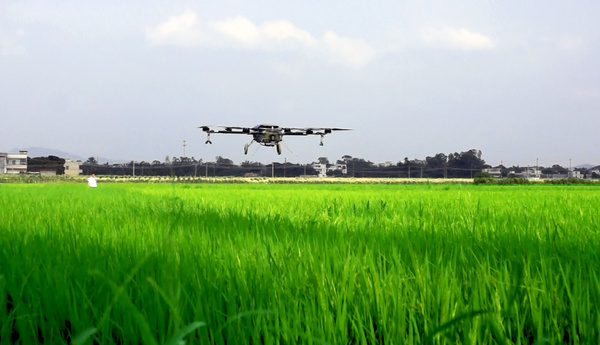 無人機(jī)技術(shù)將用于農(nóng)場(chǎng)的雜草控制插圖 無人機(jī)可以從空中識(shí)別出雜草