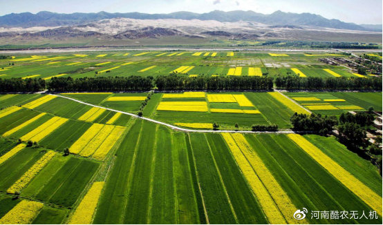 無人機(jī)助力農(nóng)業(yè)現(xiàn)代化插圖3 農(nóng)業(yè)向現(xiàn)代農(nóng)業(yè)轉(zhuǎn)變的關(guān)鍵時(shí)期