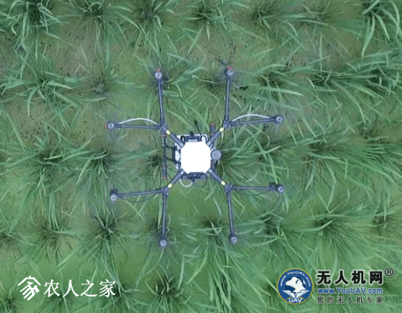 大疆打藥無人機(jī)MG-1S測(cè)試報(bào)告插圖6 精靈鏡頭下的MG
