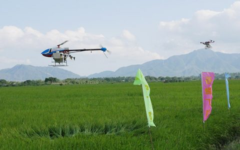 惠東縣：植保無人機統(tǒng)防統(tǒng)治顯身手
