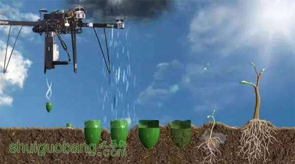 無人機做播種機插圖3 臺多軸無人機可以將種子噴射到特定或理想的種植地點