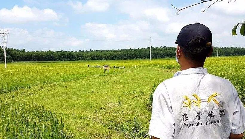 「植保無人機(jī)」無人機(jī)噴施葉面肥注意插圖1 葉面肥的濃度要適當(dāng)
