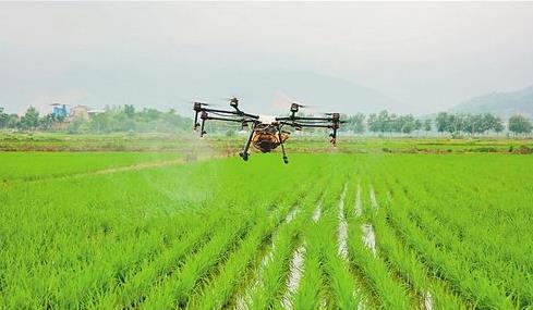 駐馬店無人機上陣防控赤霉病插圖1 自主飛行無人機等高效植保機械