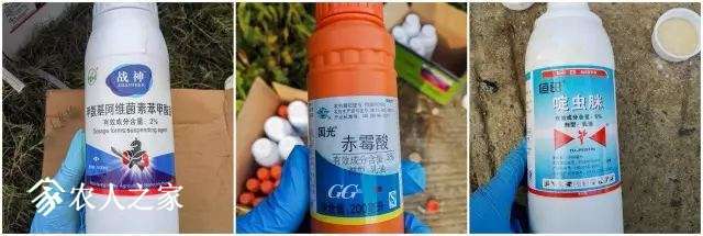 大疆打藥無人機用于MG-1S甘蔗飛防作業(yè)插圖3 大疆打藥無人機用于MG-1S甘蔗飛防作業(yè)