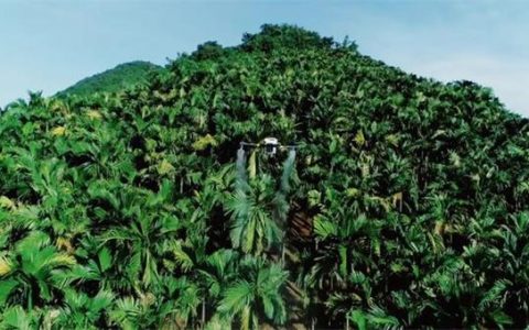 植保無人機的應(yīng)用？解鎖中國無人機農(nóng)業(yè)黑科技