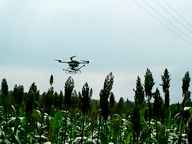 山東曹縣植保無人機(jī)飛防助高粱生產(chǎn)豐收插圖 山東曹縣植保無人機(jī)飛防助高粱生產(chǎn)豐收