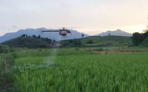 惠東縣水稻病蟲害防治用上了植保無人機