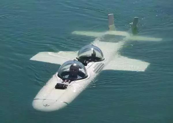 美國潛水飛機(jī)插圖2 潛水飛機(jī)模仿一些鳥類潛水的動(dòng)作