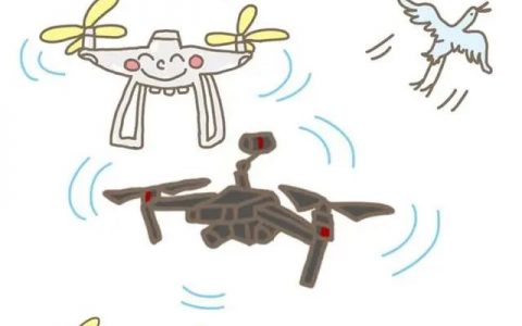 巡檢無(wú)人機(jī)-巡檢無(wú)人機(jī)如何防止鳥(niǎo)類(lèi)襲擊！