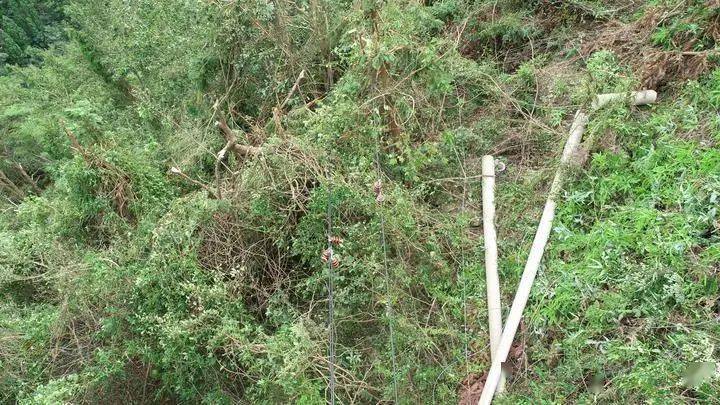 樂清供電公司30臺無人機(jī)電路問題巡檢插圖 樂清供電公司30臺無人機(jī)電路問題巡檢