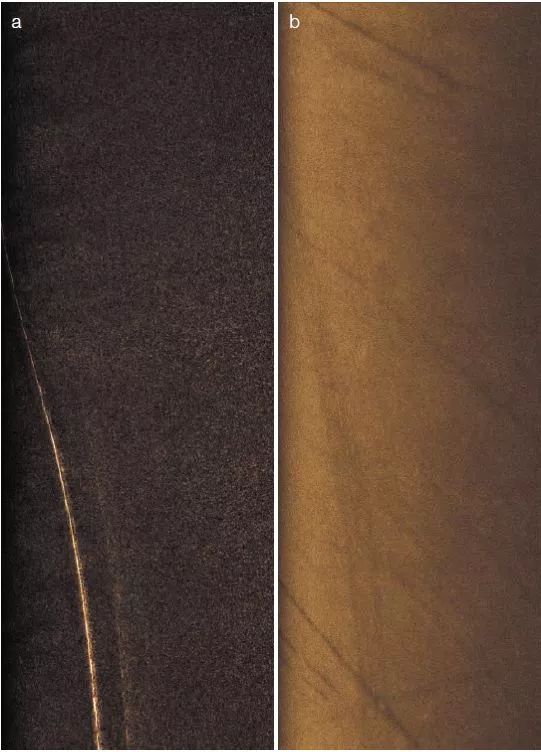 劉紀(jì)元:合成孔徑聲吶技術(shù)研究進(jìn)展插圖2 高頻合成孔徑聲吶千島湖水下地貌成像結(jié)果