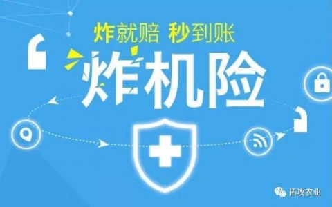 飛手迎來炸機險服務