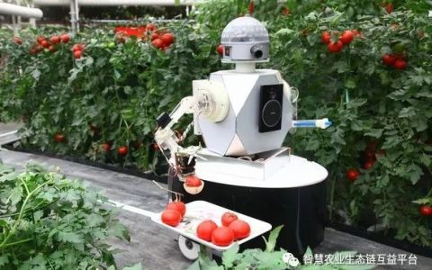 解決無人種地難題！農(nóng)業(yè)機(jī)器人來了