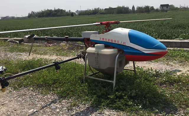 江蘇太倉植保無人機助力小麥病蟲害防治插圖1 正在使用植保無人機噴藥殺蟲