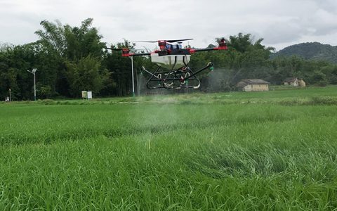 龍門縣植保無人機(jī)助力病蟲害防治