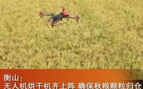 衡陽用無人機(jī)除露水，確保秋糧顆粒歸倉。