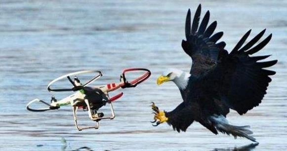 無人機走進新時代插圖1 輕型多旋翼無人機