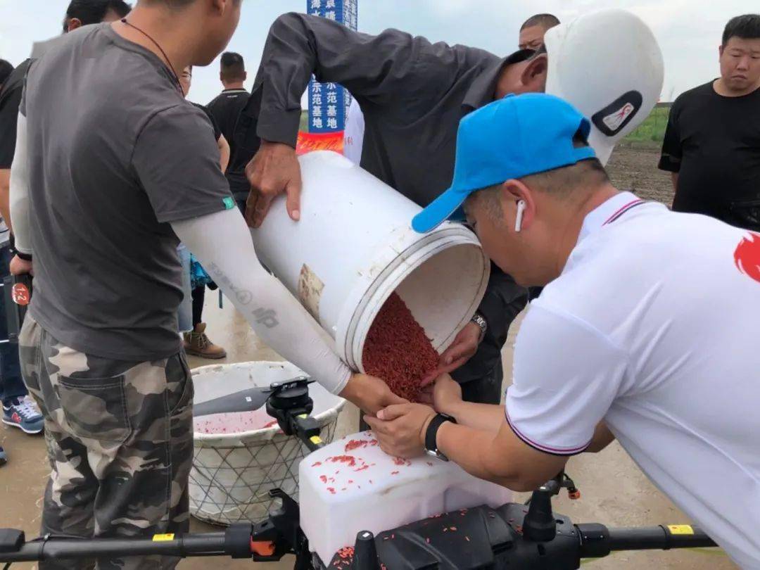 大疆植保無人機播種“海水稻”插圖2 大疆植保無人機播種“海水稻”