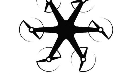 有關(guān)小型無(wú)人機(jī)在機(jī)場(chǎng)驅(qū)鳥的研究