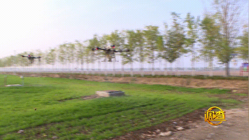 青阜無(wú)人機(jī)噴農(nóng)藥，種田玩起高科技