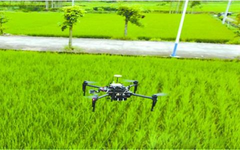 無人機低空遙感高效獲取作物信息（可彌補現(xiàn)有航天、航空遙感技術(shù)缺陷）