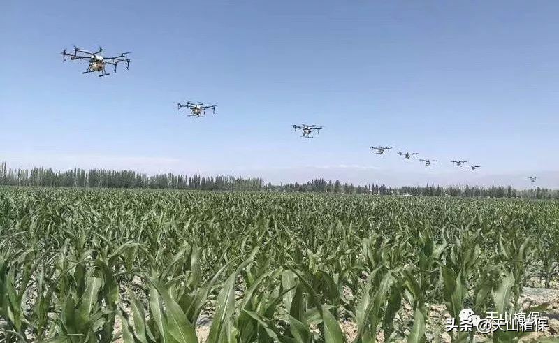 重要:無人機飛防注意事項(無人機飛防十大要點)插圖1 重要:無人機飛防注意事項