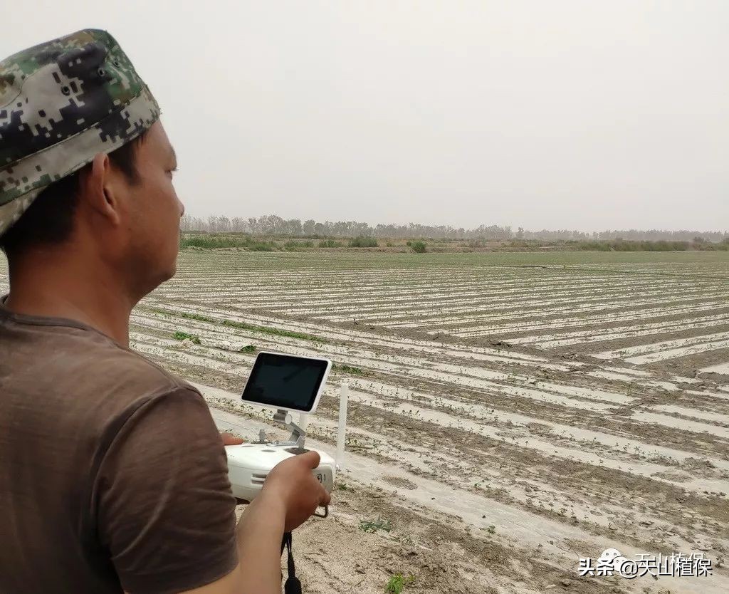 重要:無人機飛防注意事項(無人機飛防十大要點)插圖3 重要:無人機飛防注意事項