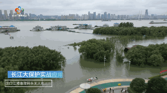 武漢經(jīng)視獨(dú)家專(zhuān)訪普宙：無(wú)人機(jī)迎黃金期！武漢本土企業(yè)在“起飛”