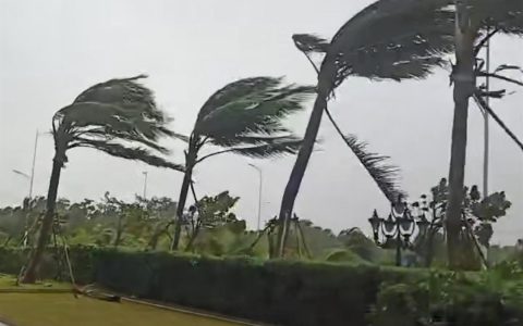 臺(tái)風(fēng)“圓規(guī)”登陸海南瓊海，公路倒伏樹木超三千棵