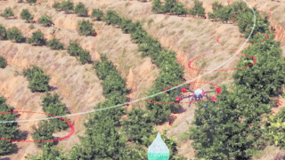 無人機(jī)螺旋航線果樹植保而生(無人機(jī)可以給果樹打藥嗎)插圖3 圖片