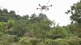 無人機(jī)螺旋航線果樹植保而生(無人機(jī)可以給果樹打藥嗎)插圖2 圖片