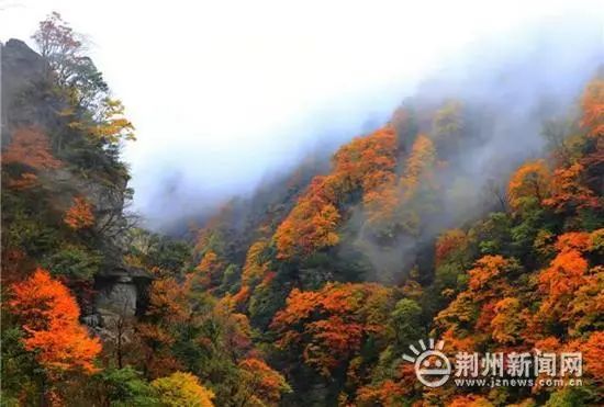 神農(nóng)架首屆無人機(jī)航拍大賽(冠軍獎(jiǎng)金20萬元來報(bào)名吧)插圖 圖片
