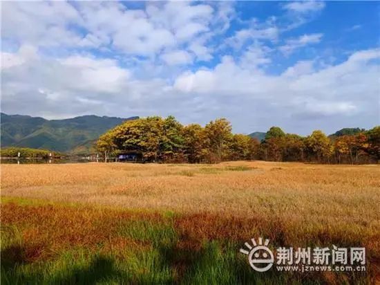 神農(nóng)架首屆無人機(jī)航拍大賽(冠軍獎(jiǎng)金20萬元來報(bào)名吧)插圖1 圖片