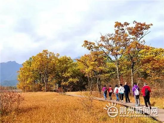 神農(nóng)架首屆無人機(jī)航拍大賽(冠軍獎(jiǎng)金20萬元來報(bào)名吧)插圖2 圖片