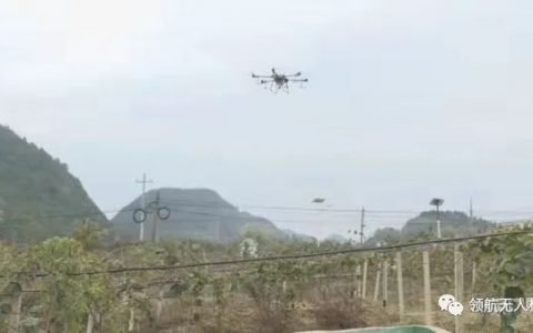 無人機助力獼猴桃冬季防護（高效環(huán)保，提高農(nóng)藥利用率30%以上）