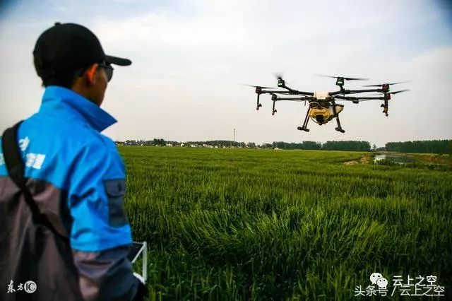 無人機(jī)螺旋航線果樹植保而生(無人機(jī)可以給果樹打藥嗎)插圖 圖片