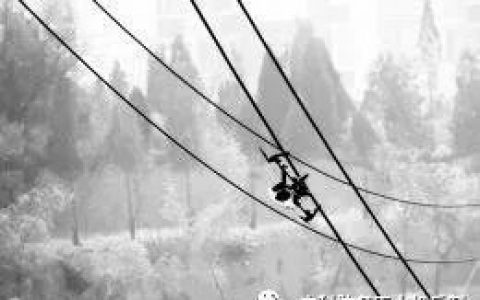 無人機(jī)落在高壓線怎么辦？（電力無人機(jī)救下航拍無人機(jī)）