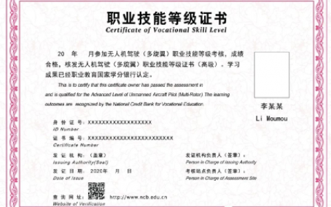 無人機(jī)行業(yè)應(yīng)用職業(yè)教育培訓(xùn)（無人機(jī)“1+X”職業(yè)教育證書）