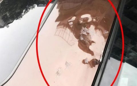 重慶無(wú)人機(jī)砸路邊轎車(chē)（后悔未購(gòu)買(mǎi)無(wú)人機(jī)保險(xiǎn)）