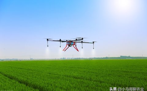 農(nóng)業(yè)無人機噴藥到底好不好？細(xì)數(shù)打藥無人機四大優(yōu)缺點
